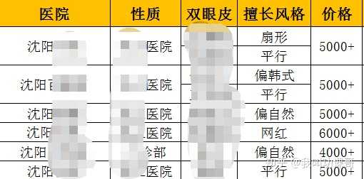 项目，医生的技术以及医生术后的口碑评价，包括手术的价格等等综合因素~沈阳这边还是有粉丝反馈过来比较不
