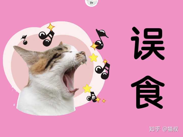 猫咪拉稀腹泻 但是精神状态和胃口都很好这是怎么了 知乎