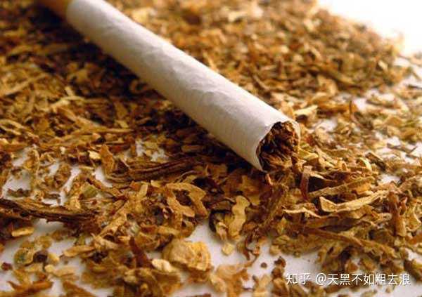tobacco 2026142736444649 Lubinski - - - LUBINSKI
