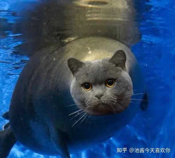 和INTJ恋爱是怎样的体验？ - 知乎