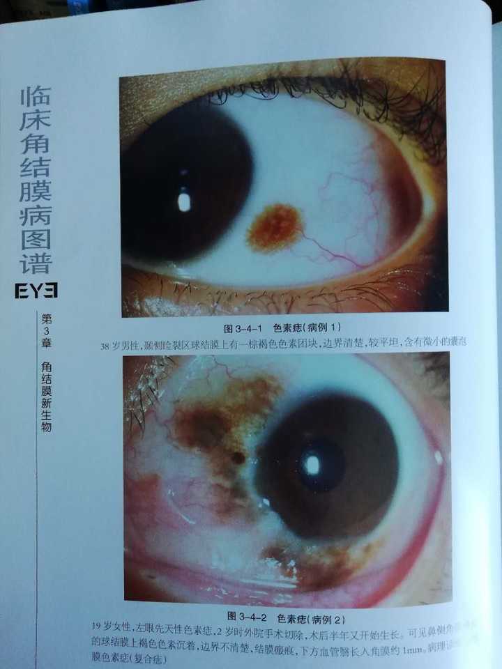 华研淘金专业4级周计划卡片.xlsx
