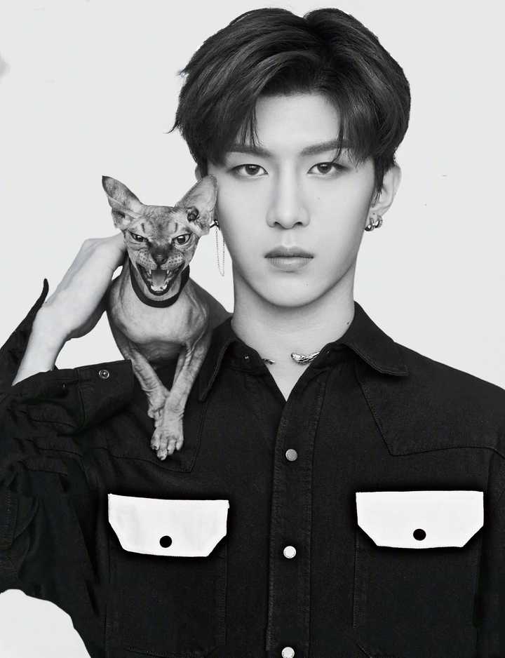 当初是因为什么而粉上了现在的爱豆?