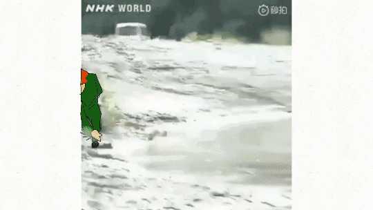 有些人坐飞机就能见到,而有些人需要坐时光机 ↑啊抱歉这个好像是刀(?