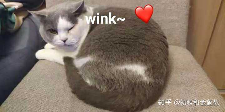 是这样的 刚刚在一个汉服群里讨论 曲裾是不是大礼服 知乎 是这样的 刚刚在一个汉服群里讨论 曲裾是不是大礼服 知乎