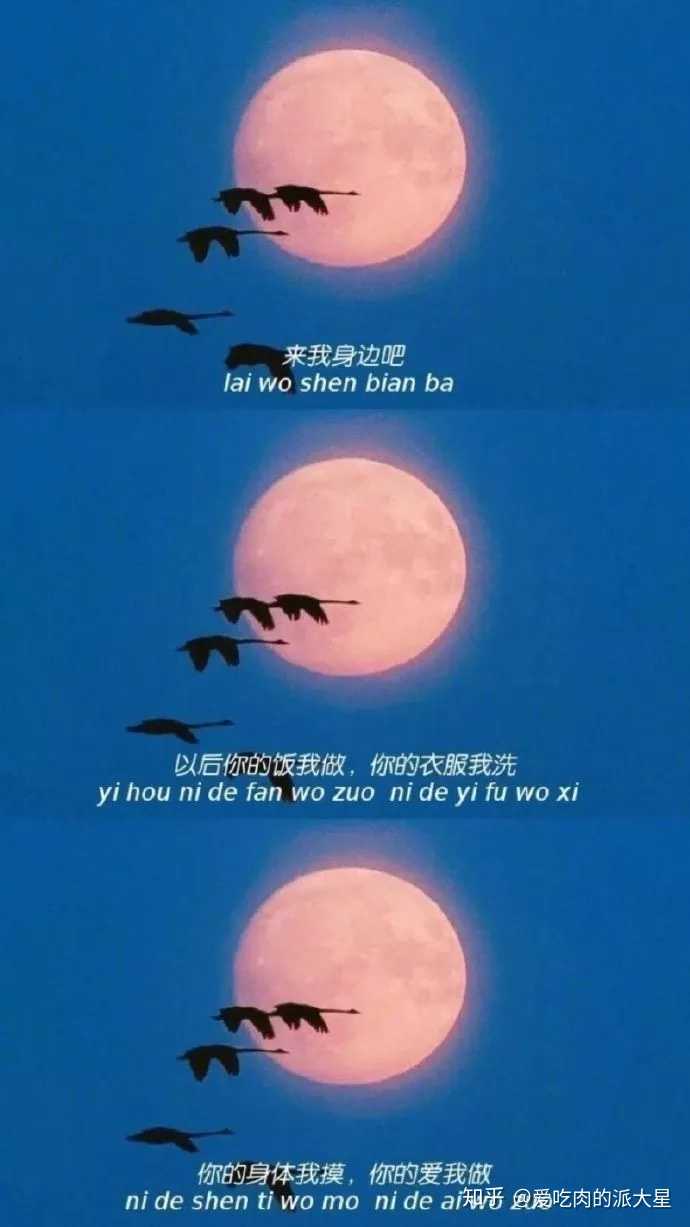 有哪些十分温柔的句子?