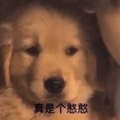有哪些可爱又很酷的文案?