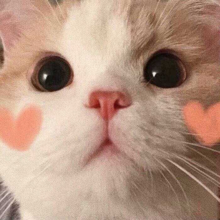 有哪些优美的生僻词 知乎 有哪些优美的生僻词 知乎