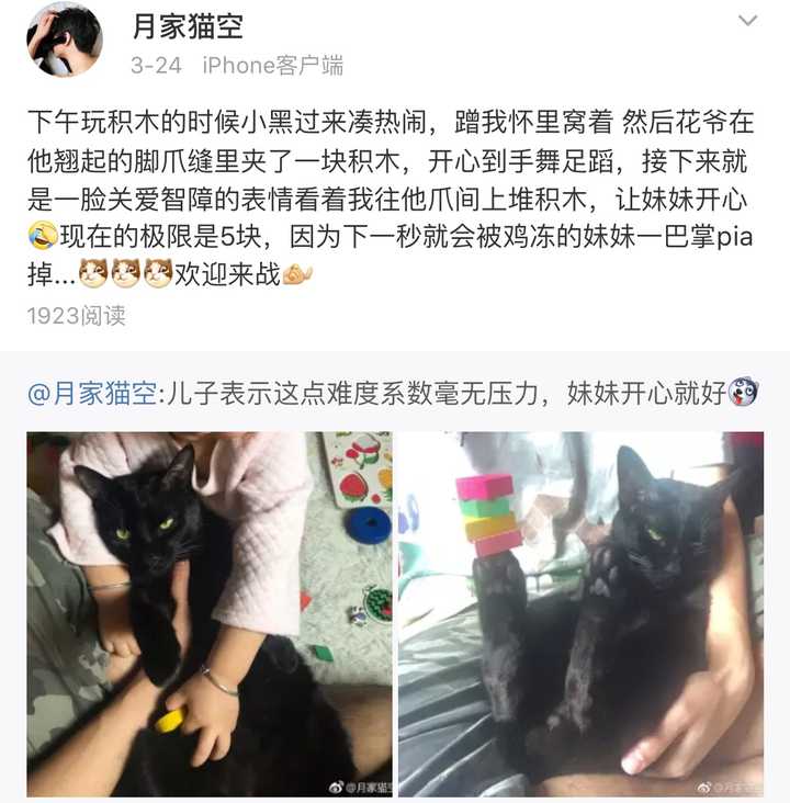 你家的猫做过哪些不可思议的事？ - 知乎