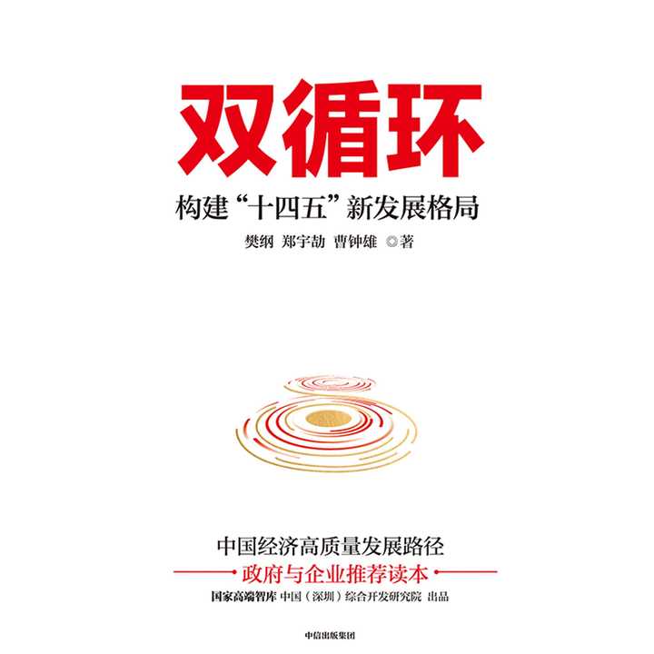 双循环:构建「十四五」新发展格局(书籍)