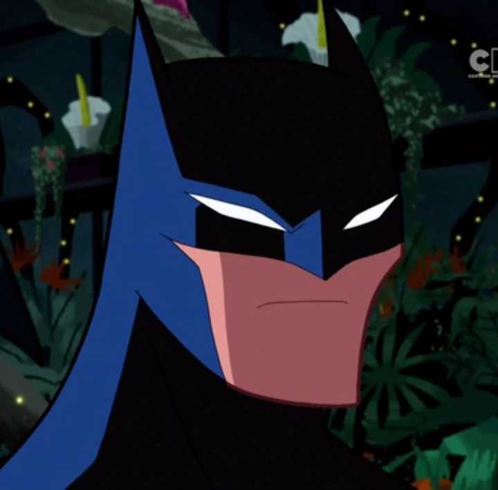 蝙蝠侠不赞成的目光