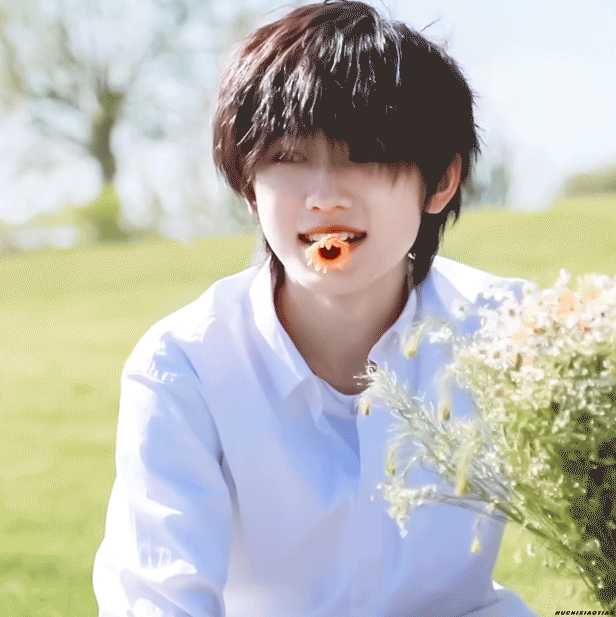 能不能发一下你家idol出圈的神图啊