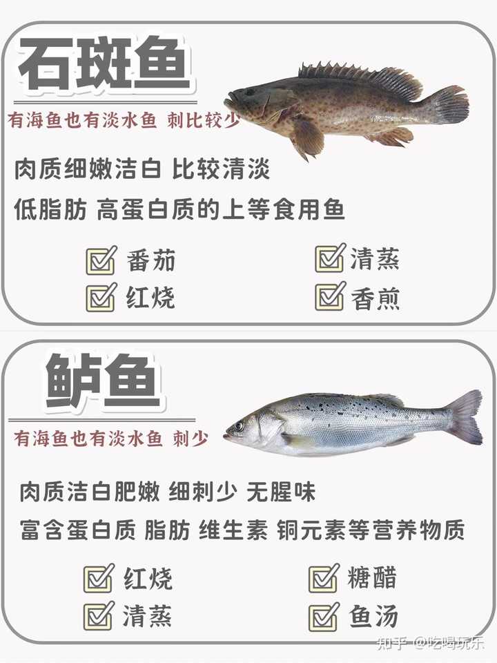 中国市场上有哪些食用鱼类品种 养殖方式各有什么特点 知乎