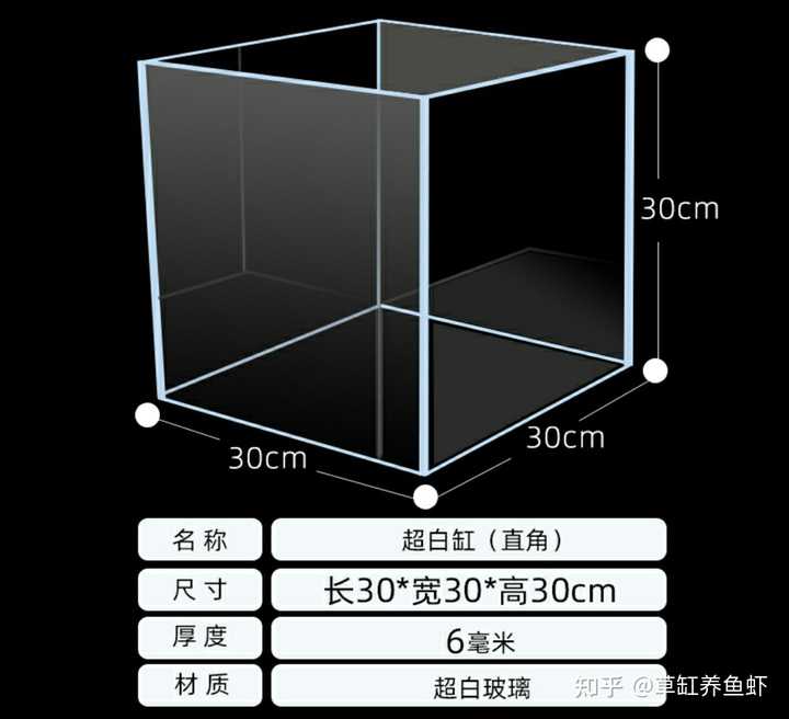 养鱼知识