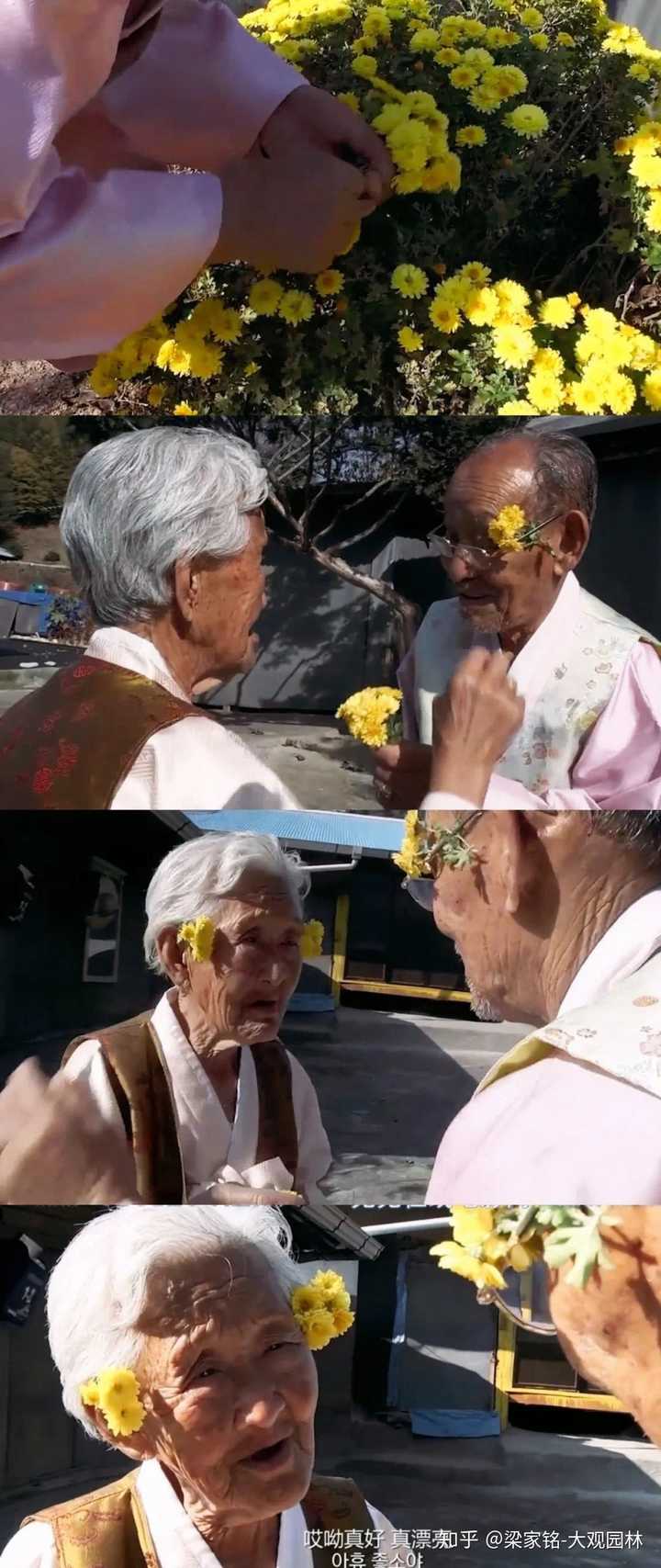 常见的花的花语是什么 知乎 常见的花的花语是什么 知乎