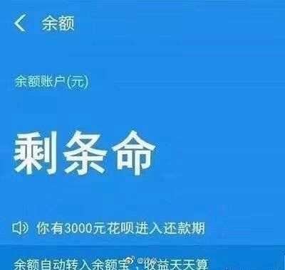 有没有哪位有一些要钱的表情包……可爱的和搞笑的都可以? - 知乎