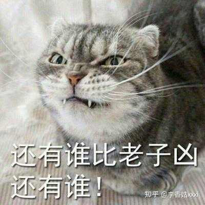 如何防止猫抓沙发 知乎