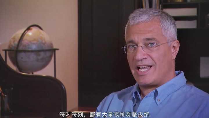 图片20查看更多简介影人:里克·奥巴瑞 / 路易·西霍尤斯 / 哈迪