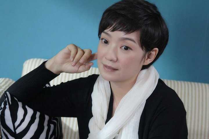 杜江 / 李菲儿 / 章申 / 郑晓宁 / 叶一云 / 张国立 / 王海燕 / 梁琛