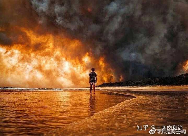怎么看待澳大利亚将射杀1 万只骆驼 只因它们喝了太多水 知乎 怎么看待澳大利亚将射杀1 万只骆驼 只因它们喝了太多水 知乎