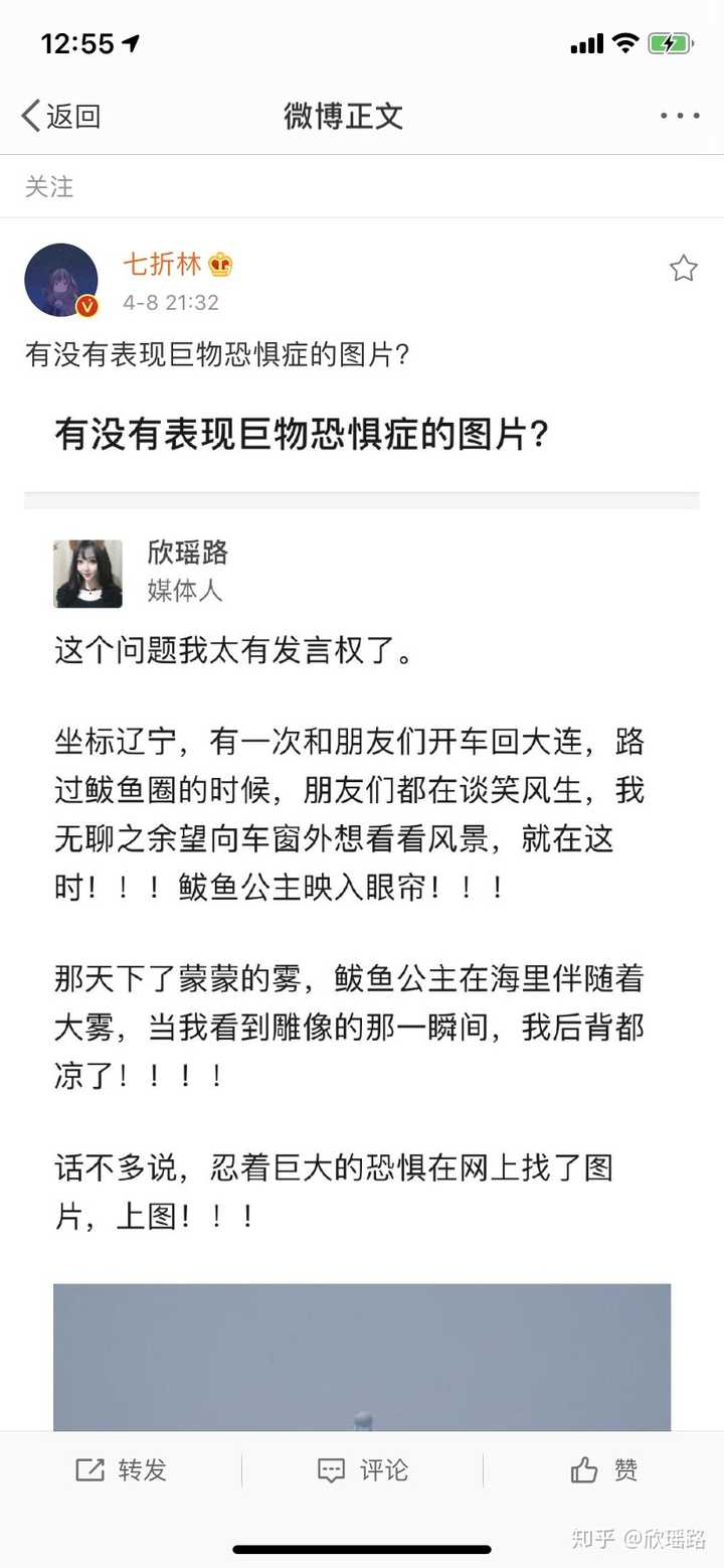 有没有表现巨物恐惧症的图片 欣瑶路的回答 知乎