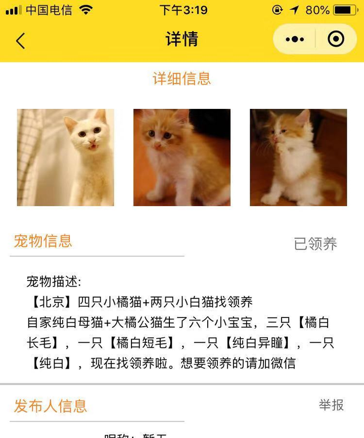 1万元左右有可能买到漂亮甜美的布偶猫吗 知乎