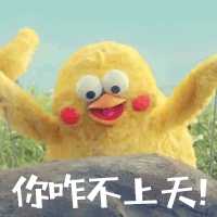动图封面