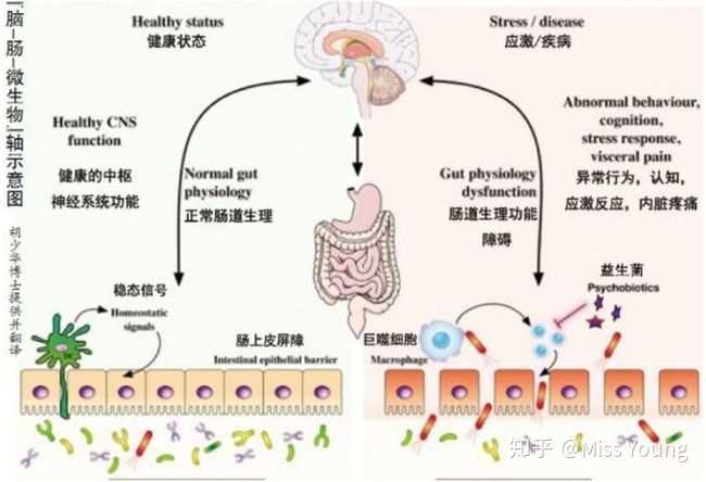 情绪为什么会影响身体脏器呢 知乎