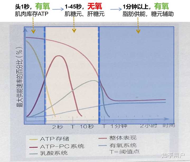 健身时,先做有氧运动还是力量训练更容易达到目标?科学研究与真实体验哪个更靠谱? - 知乎