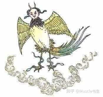 海神为什么是人面鸟身的?有什么含义吗? - 知乎