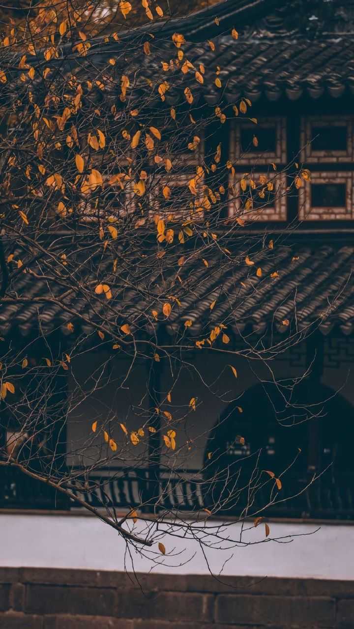 你的备忘录里摘抄了哪些你喜欢的经典句子?