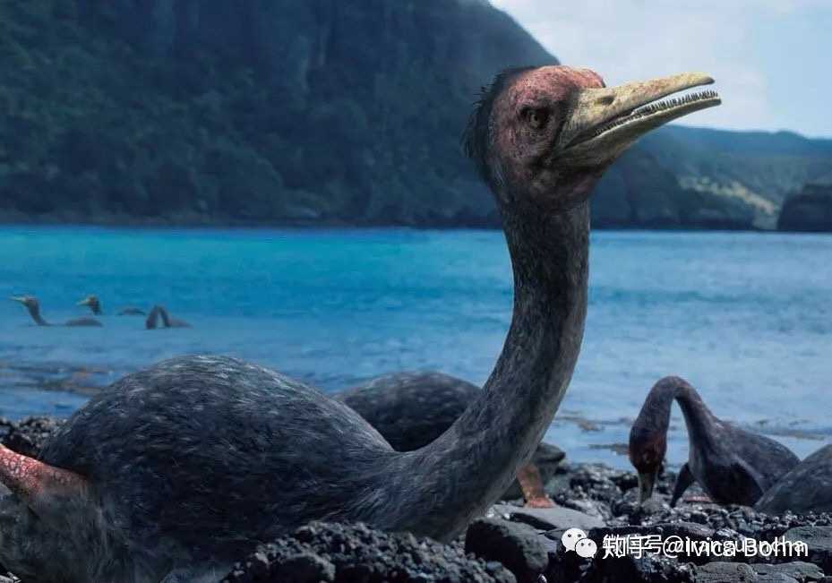 分享一组白垩纪生物图片