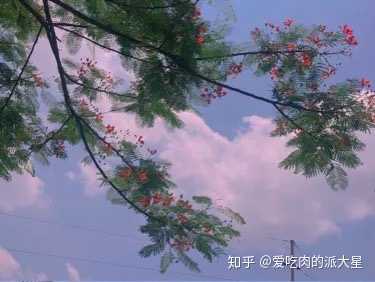 有哪些十分温柔的句子?