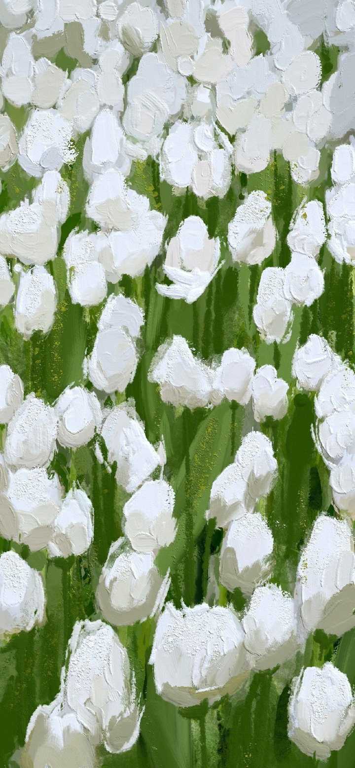 有没有好看的鲜花全面屏无水印壁纸?