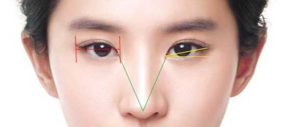 角度(外眦点应高于内眦点) 内眦角尖端朝向(好看的眼角是朝向鼻尖的)