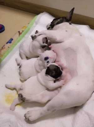 母乳喂养是一种怎么样的体验?