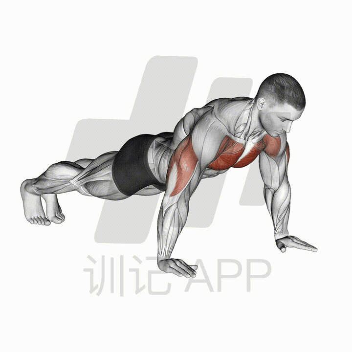 身高:172 cm 体重 :57kg 一个标准的俯卧撑都做不了.