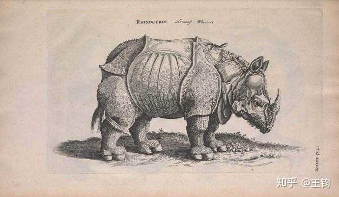 丢勒雕版犀牛
