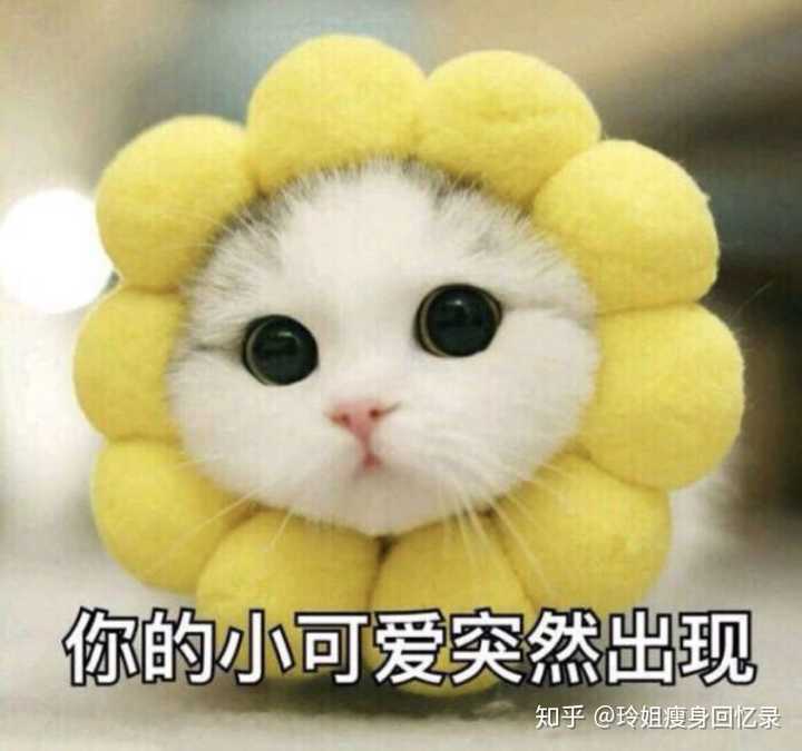 懒人快速瘦身减肥方法_懒人减肥最好的方法_懒人减肥速成方法