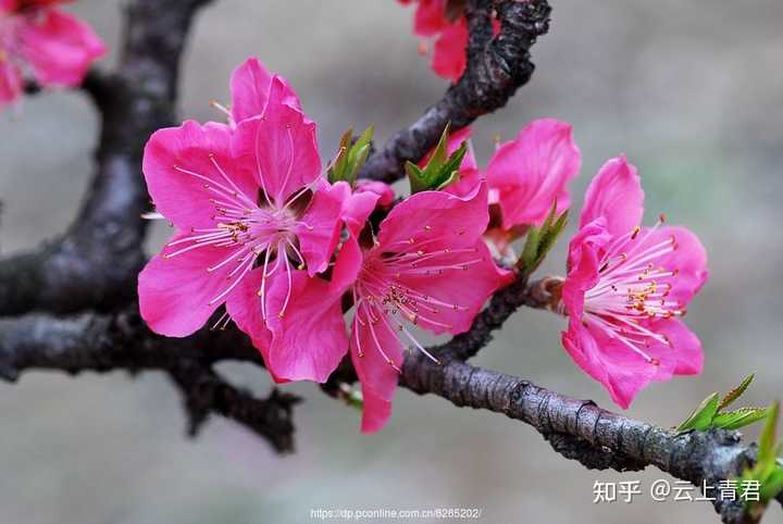 无我,那什么才是我? - 知乎