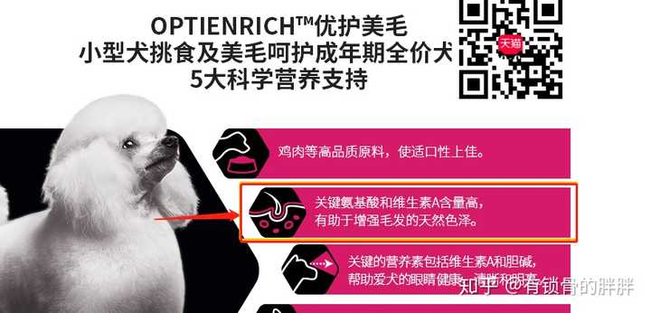 狗粮买海洋之星还是冠能 知乎 狗粮买海洋之星还是冠能 知乎