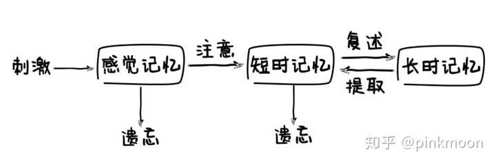 你有什么简单高效的记忆方法？