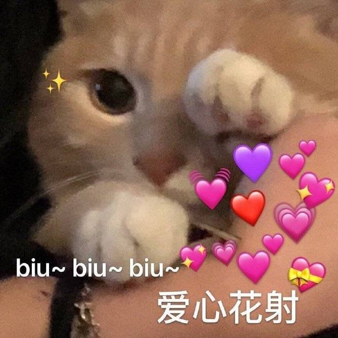 有什么可爱的文案?