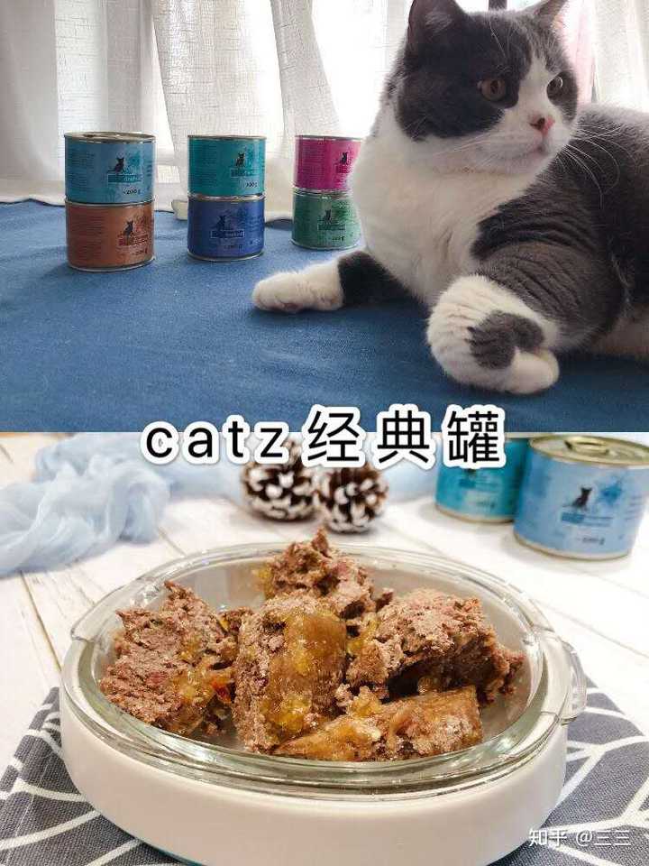 猫罐头什么牌子好 知乎