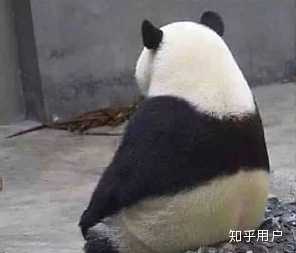 有没有什么惊艳的微信头像?-特别惊艳到人的微信头像