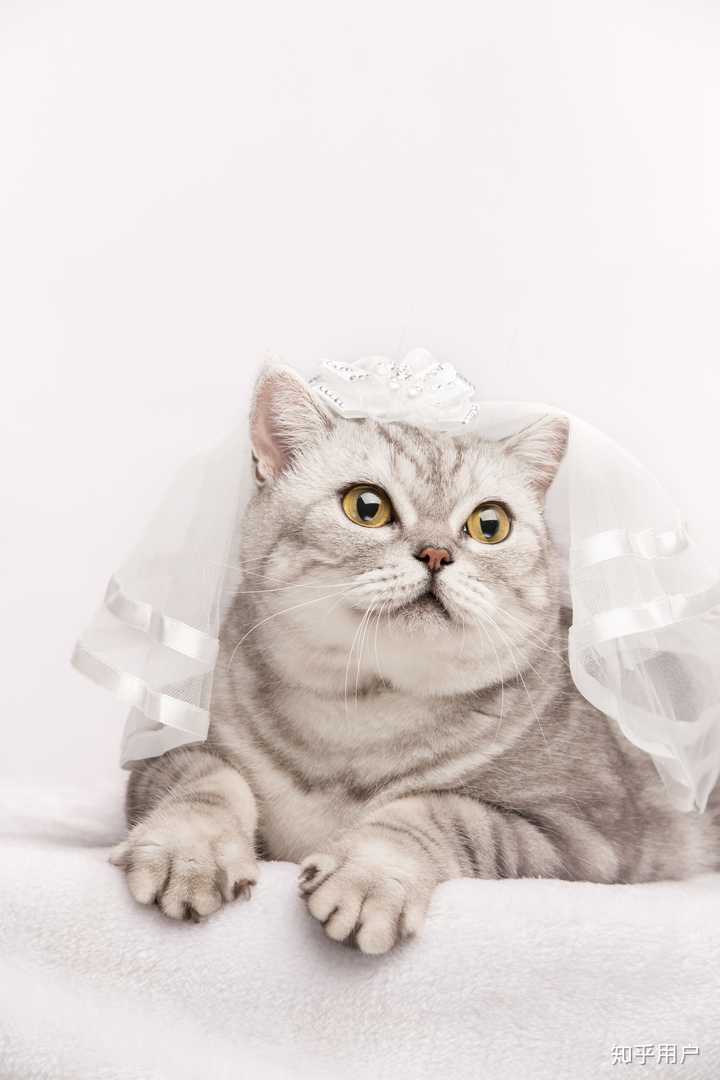 女孩子当然是穿上婚纱的那一刻最美啦