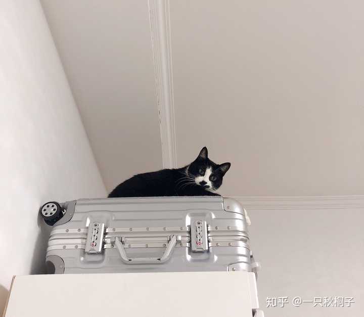 如何看待女朋友抱着猫在床上自拍 发朋友圈屏蔽了我 一看见女朋友和猫亲近就会难受 该怎么办 知乎 如何看待女朋友抱着猫在床上自拍 发朋友圈屏蔽了我 一看见女朋友和猫亲近就会难受 该怎么办 知乎