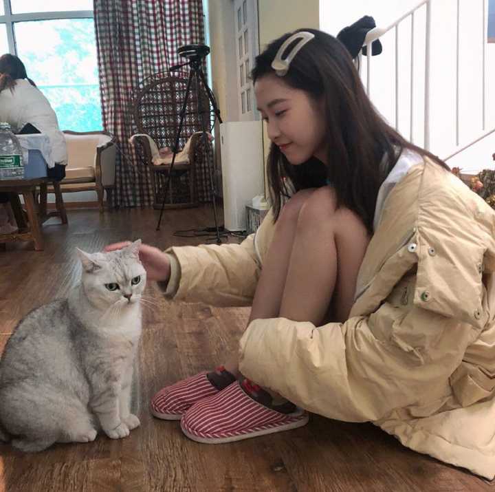 有没有半藏森林好看的照片