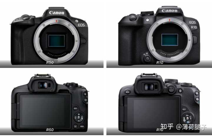 新手选择佳能r10还是r50？ - 知乎
