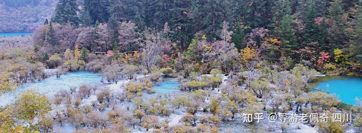 九寨沟五花海拥有怎样绝美的景色？ - 知乎