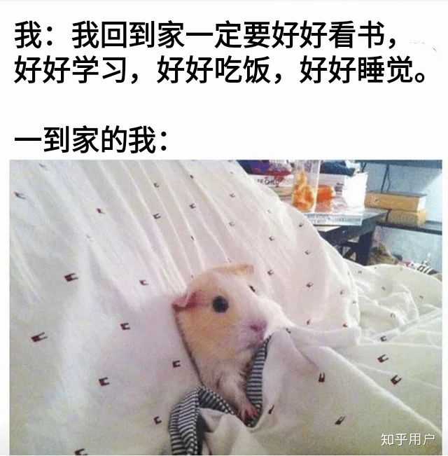 你有什么私藏的MEME图/梗图/迷因图? - 知乎